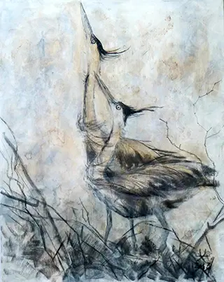 Graureiher against the wind (2013)